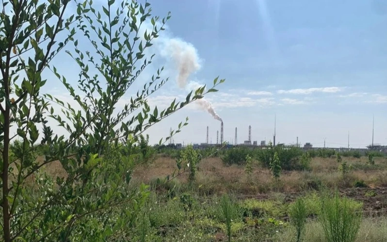 завод