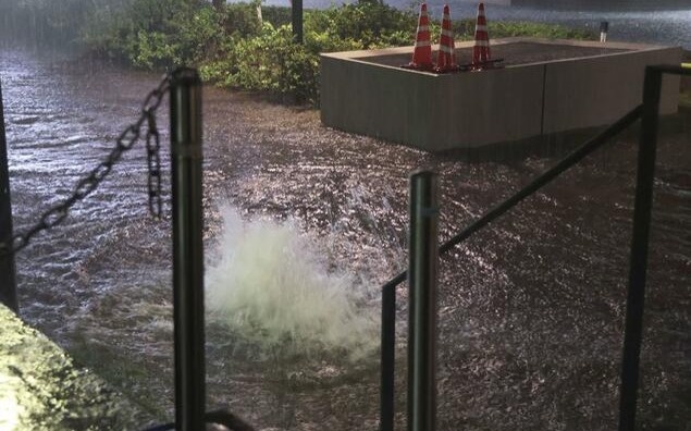 Heavy rain kills four in Japan's Chiba as floods disrupt thousands Heavy rain kills four in Japan's Chiba as floods disrupt thousands