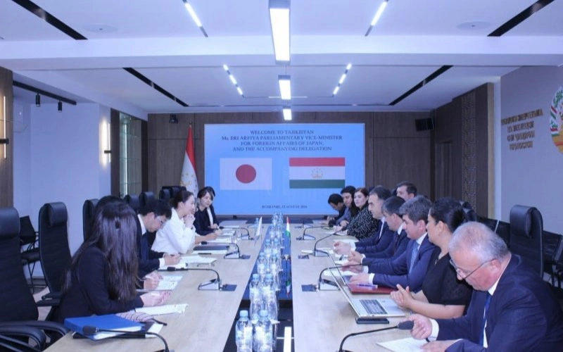 Tajikistan and Japan expand cooperation in energy and water resources