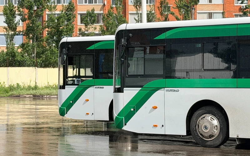 автобус 