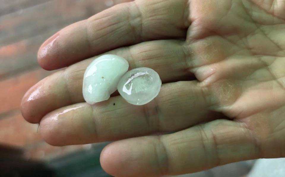 СҚО-да үлкендігі тауықтың жұмыртқасындай бұршақ жауды