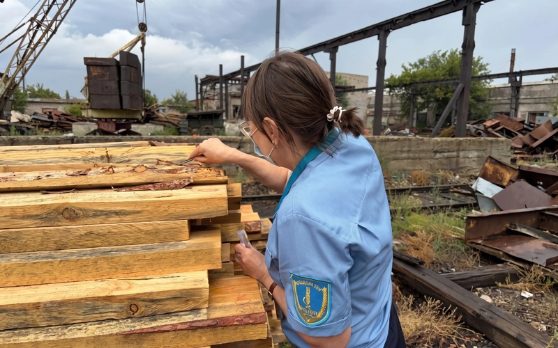 Ресейден әкелінген 125 текше метр ағаштан қауіпті зиянкес табылды