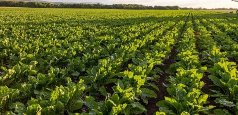 Kazakhstan allocates over 650 bn tenge to support farmers