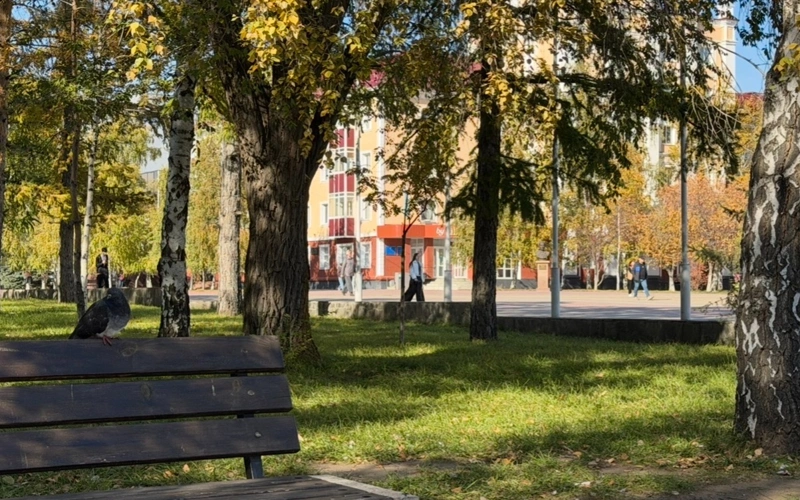 погода 