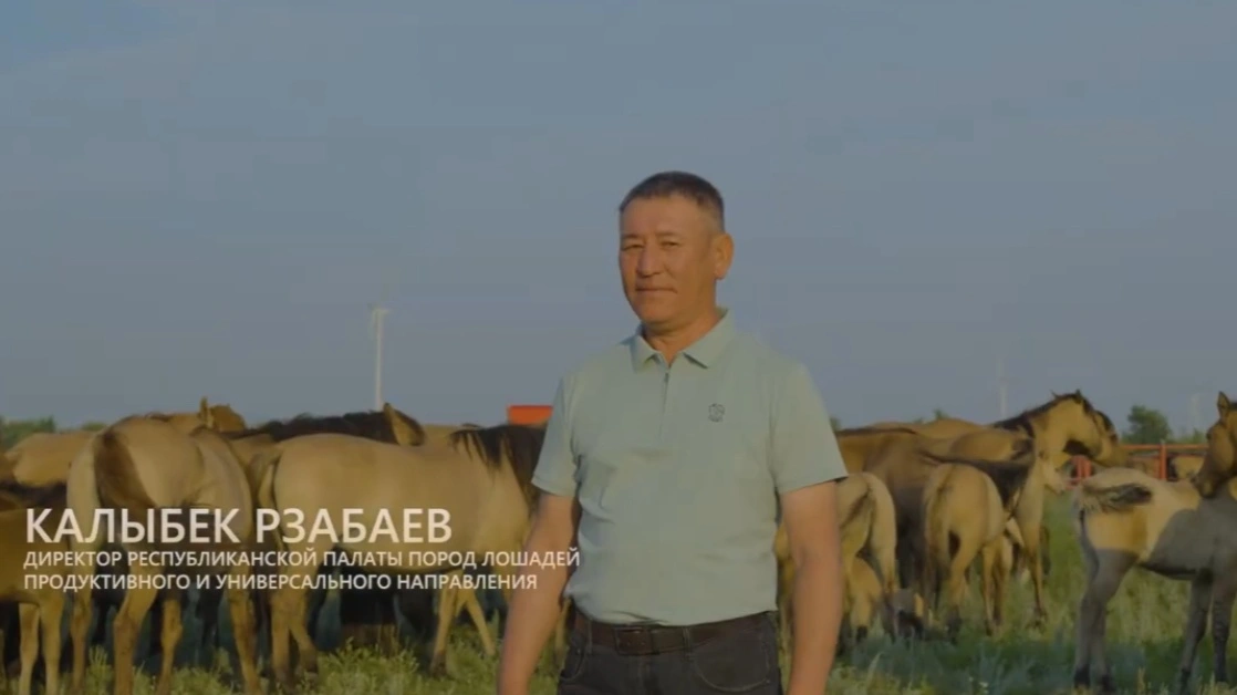 елмен бирге