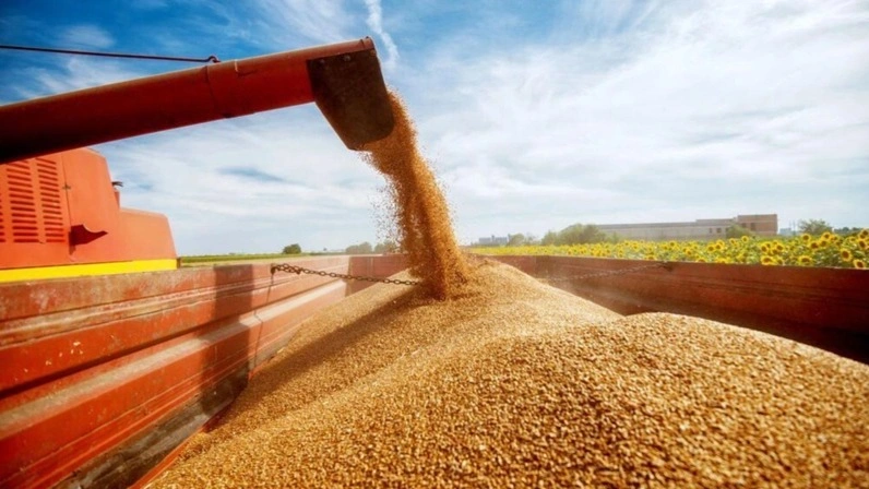 Kazakhstan allocates over 650 bn tenge to support farmers