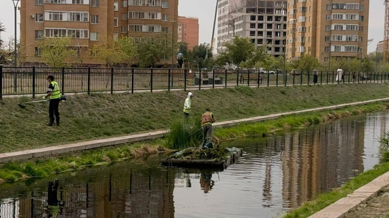 Реку Сарыбулак в Астане очищают от загрязнений