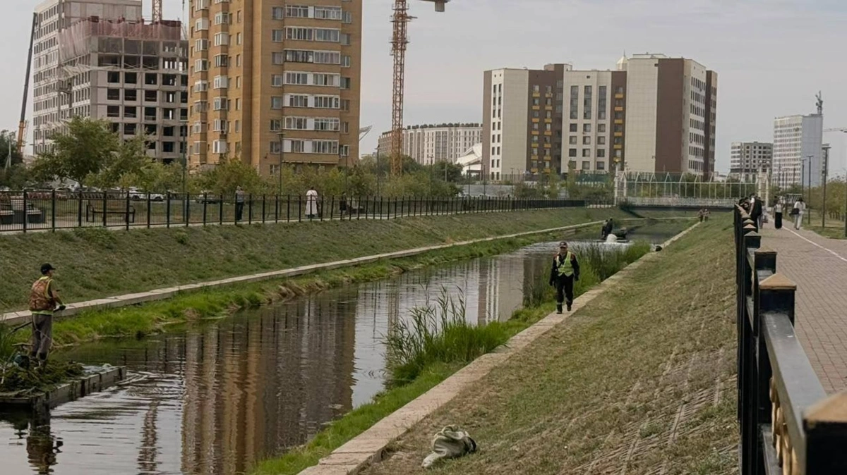 Реку Сарыбулак в Астане очищают от загрязнений