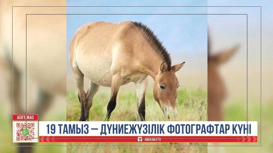 День фотографа: сколько труда скрывается за одним кадром