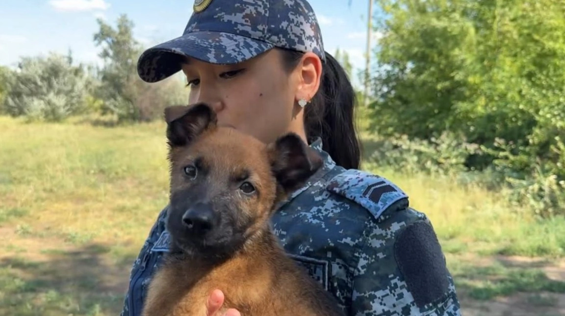 Астана полициясының кинологиялық орталығы төрт күшікпен толықты