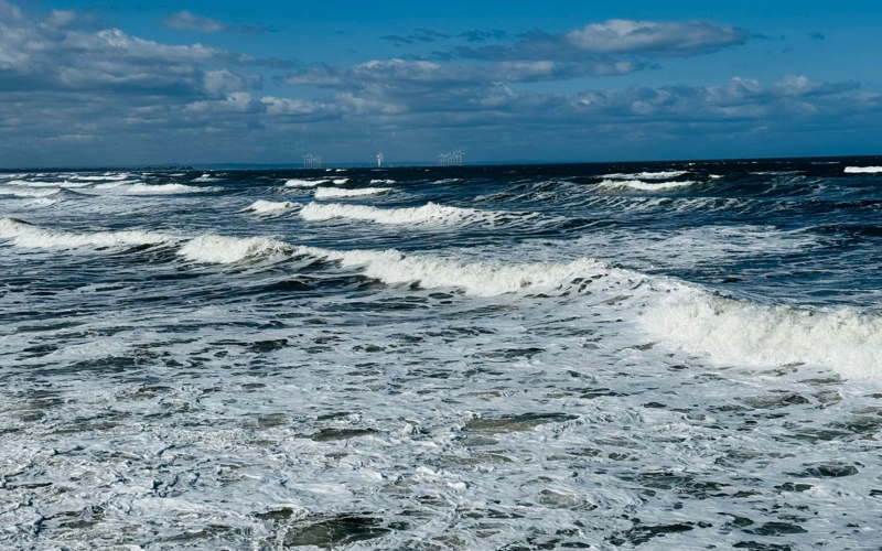 North Sea temperature off Dutch coast hits record high