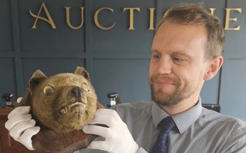 £50 market find revealed as rare thylacine, fetches £50,000 