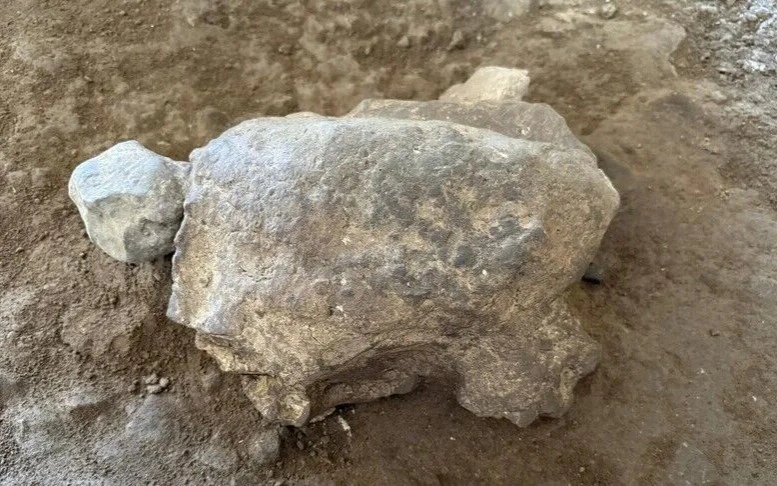 Archeologists uncover 25 turtle figurines dating back 16,500 years in Türkiye 