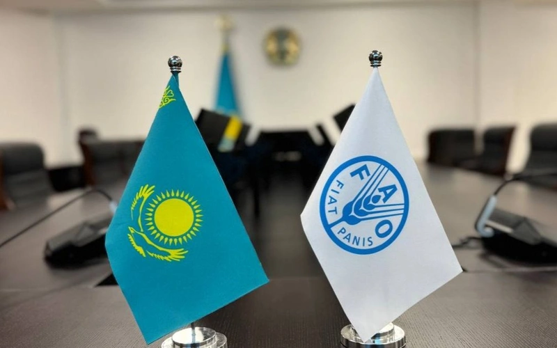 Kazakhstan, FAO deepen cooperation on digital agriculture
