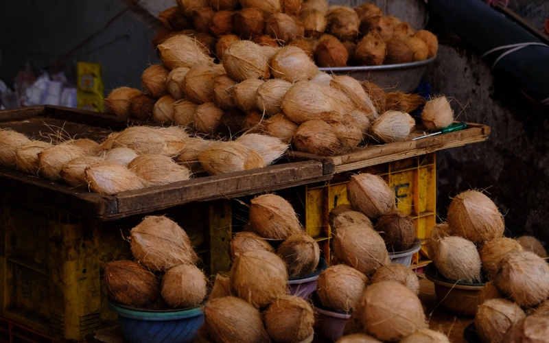 India, coconuts