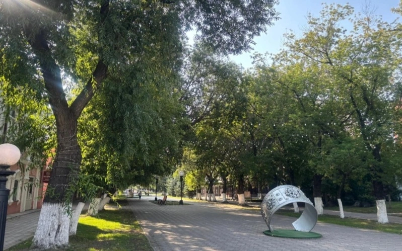Улица в Петропавловске может войти в Книгу рекордов Гиннесса