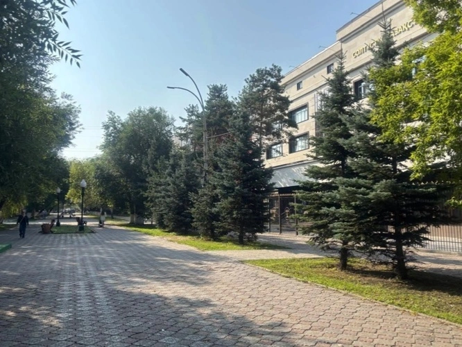 Улица в Петропавловске может войти в Книгу рекордов Гиннесса