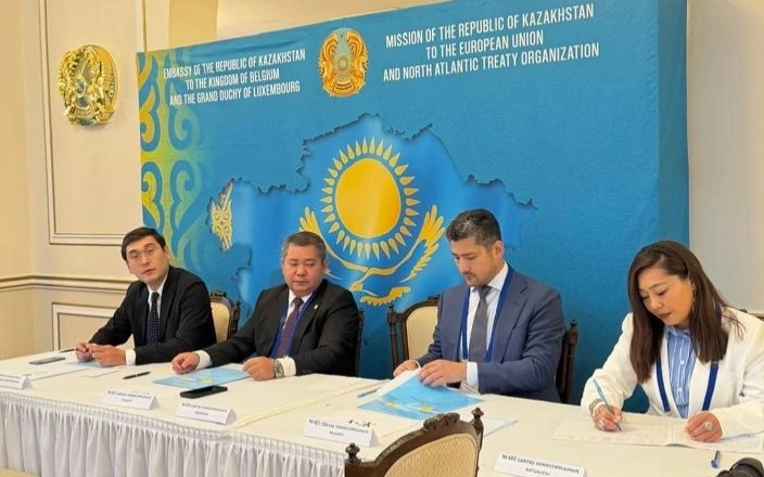Kazakhstanis vote in Brussels and London as Qurultay elections continue abroad