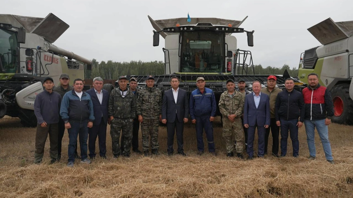 Орақ науқаны: бидайдың түсімділігі гектарына 35 центнерге жетті