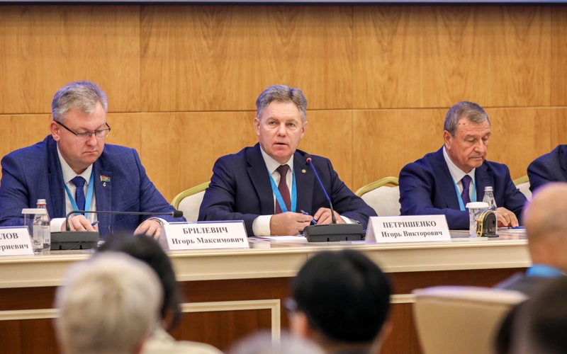 Құрылтай сайлауы әділ әрі ашық өтті — ТМД миссиясының қорытындысы