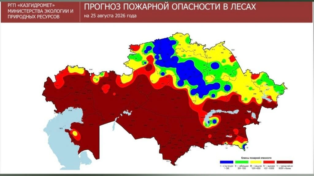 Ел бойынша 5 орман өртке оранды
