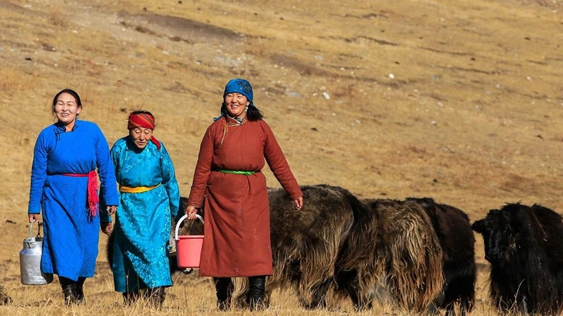ADB launches $92.6 million fund to support sustainable agribusiness in Mongolia