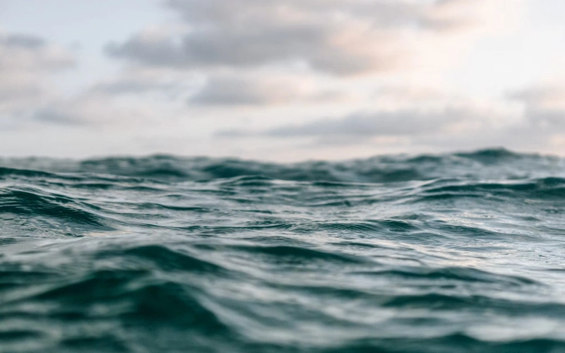 Sea surface