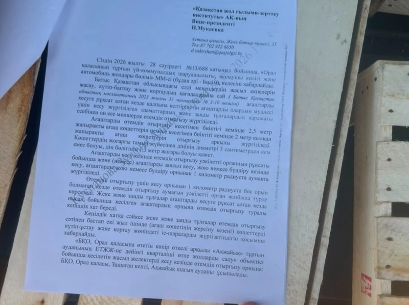  Oralda otalǵan aǵashtardyń ornyna ótemdik kóshetter otyrǵyzý nátıjesi nege kóńil kónshitpeıdi
