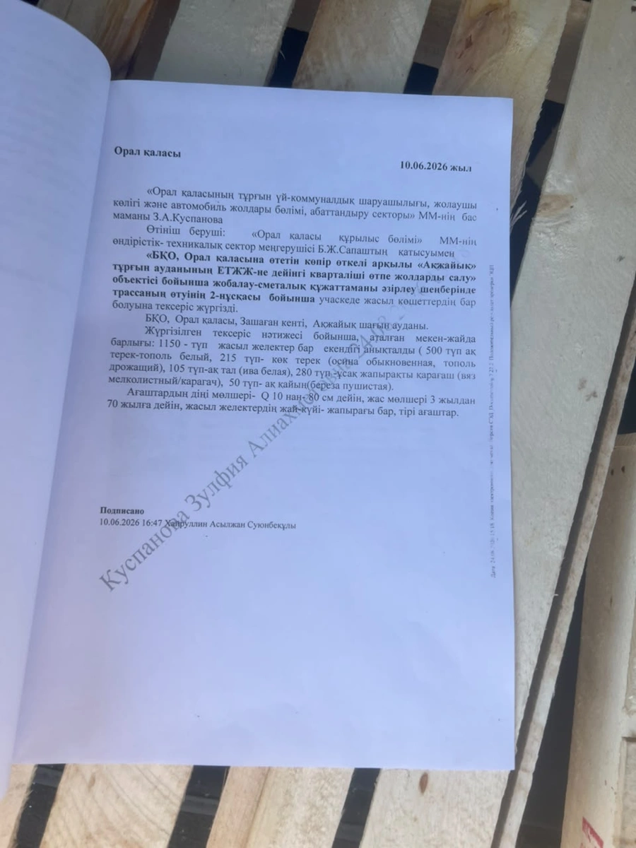  Оралда оталған ағаштардың орнына өтемдік көшеттер отырғызу нәтижесі неге көңіл көншітпейді