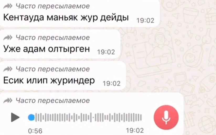 Слухи о маньяке и найденном в мусорном баке теле опровергли в Туркестанской области