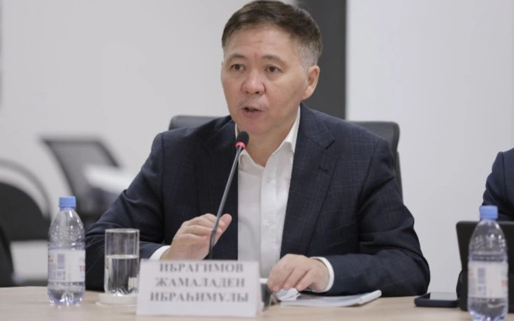 Сарапшы Жаңа Конституция жастарға қандай мүмкіндіктер беретінін түсіндірді