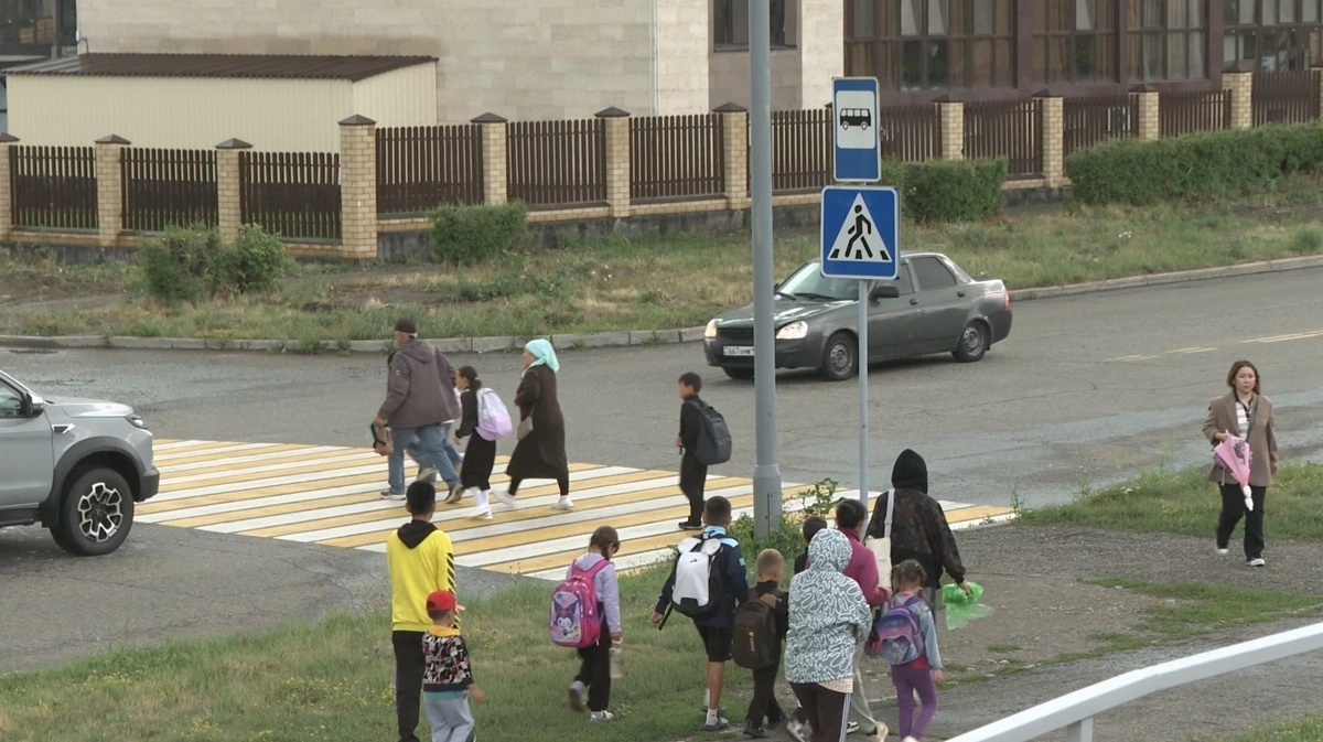 пешеход пешеходный переход зебра школьники школа безопасность пдд дети