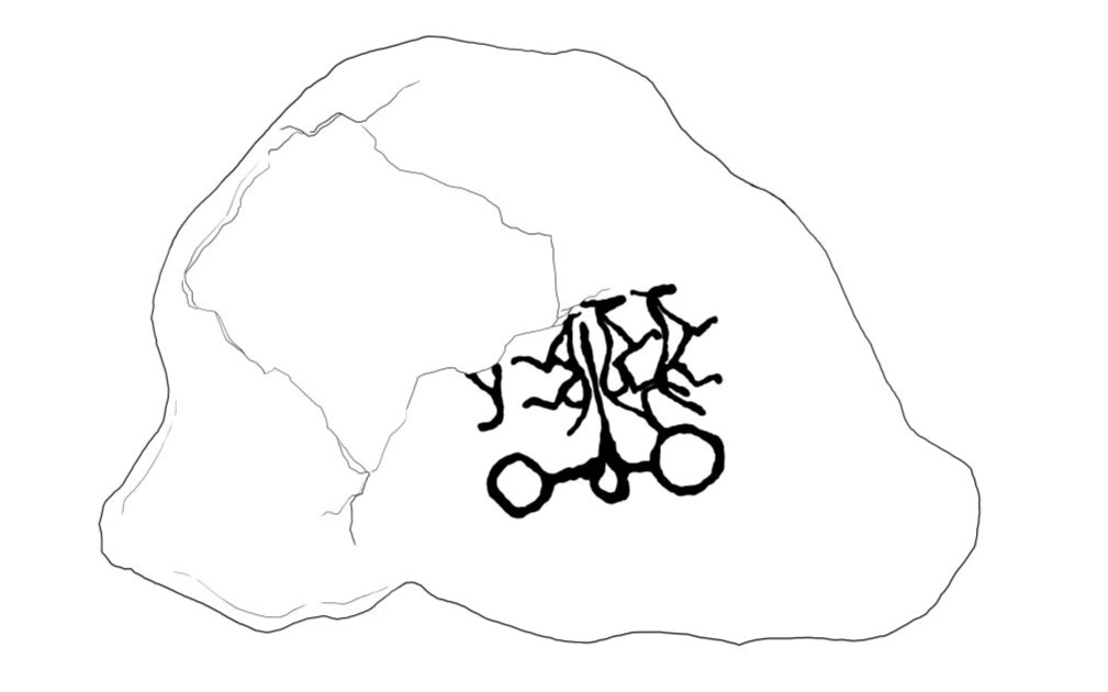 у