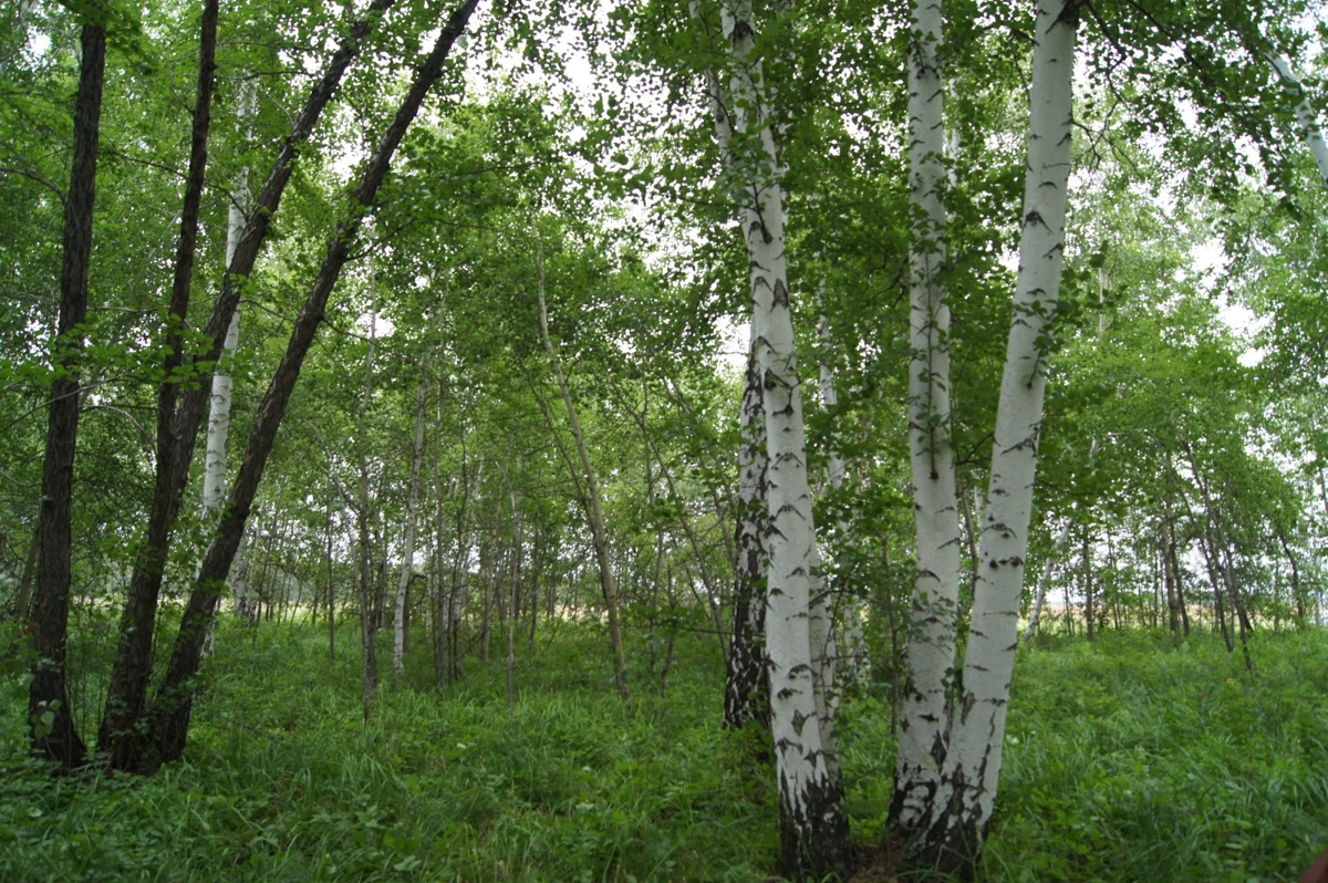 ы