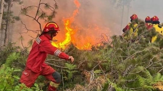 Albania battles four active wildfires 