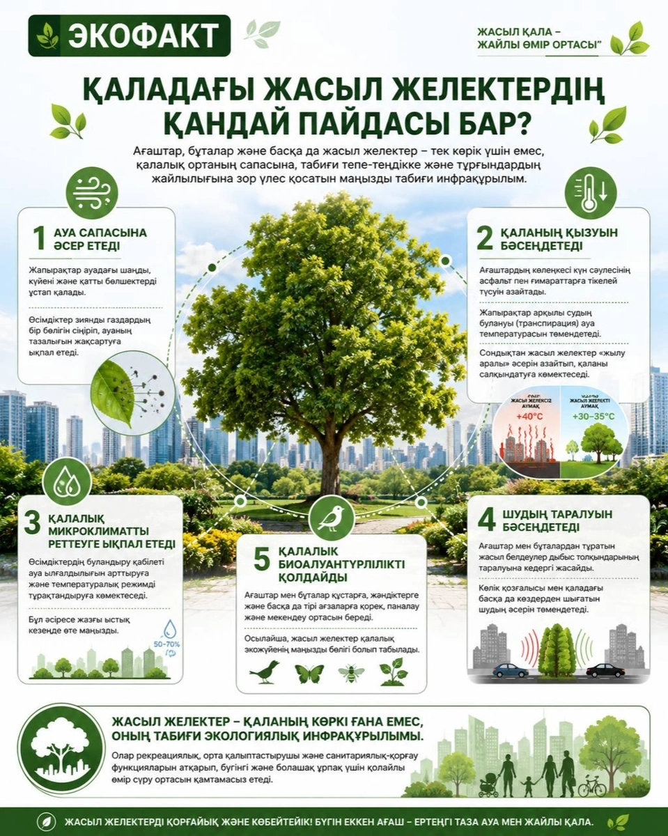 Ағаштар қаланы қалай қорғайды: жасыл желектің бес пайдасы
