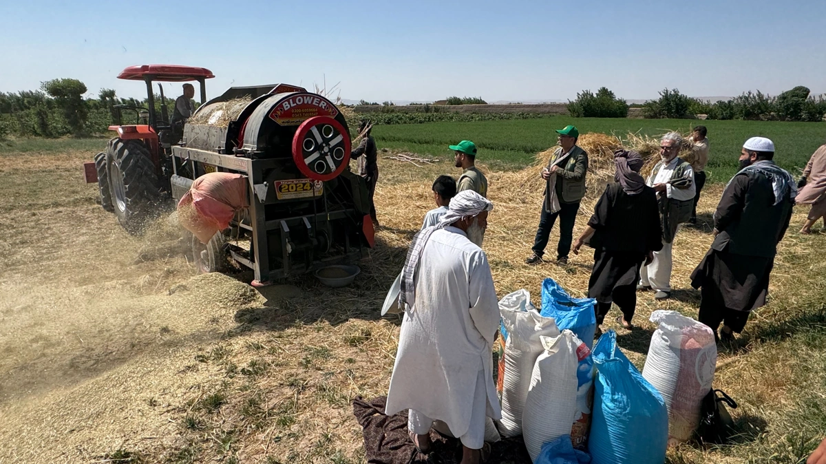 От помощи к развитию: как поддержка Афганистана важна для Центральной Азии