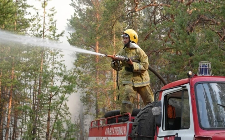 лесные пожары 