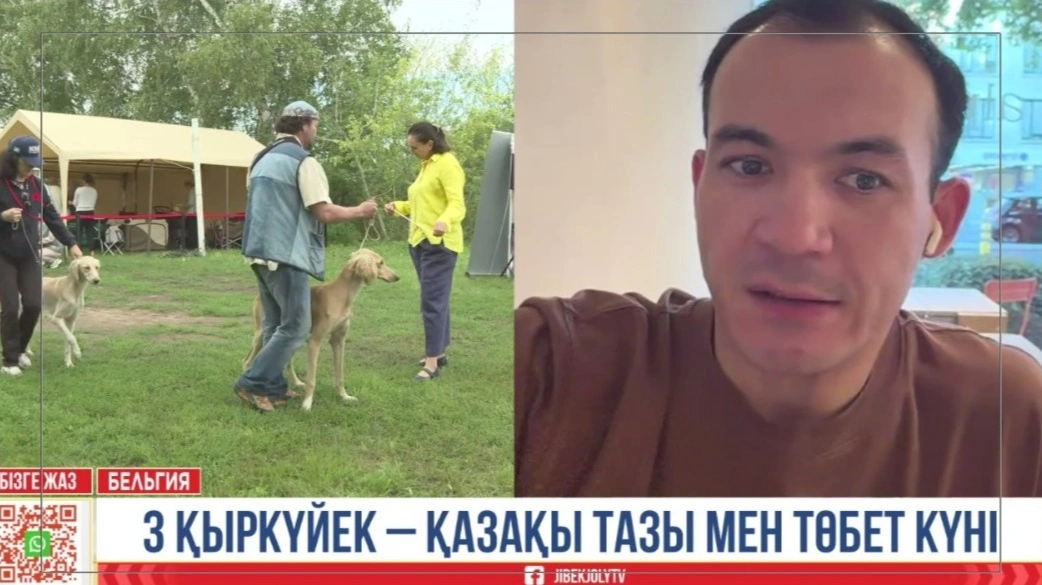 Қазақы тазы &mdash; ұлттық бренд: Брюссельде арнайы фотокөрме өтіп жатыр 