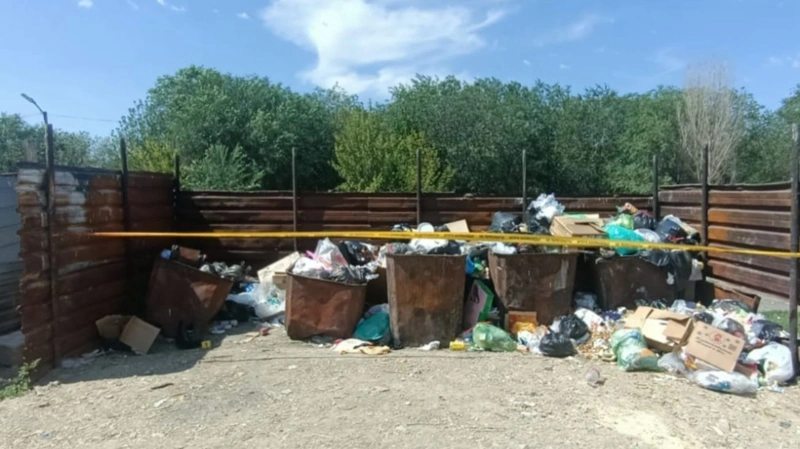 Мать брошенной в мусорный контейнер девочки дала признательные показания
