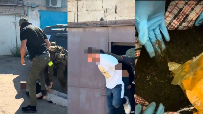 60 кг марихуаны нашли у жителей Павлодара: двое подозреваемых под стражей