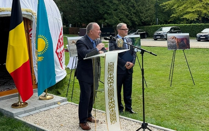 Brussels exhibition celebrates Kazakh Tazy Day
