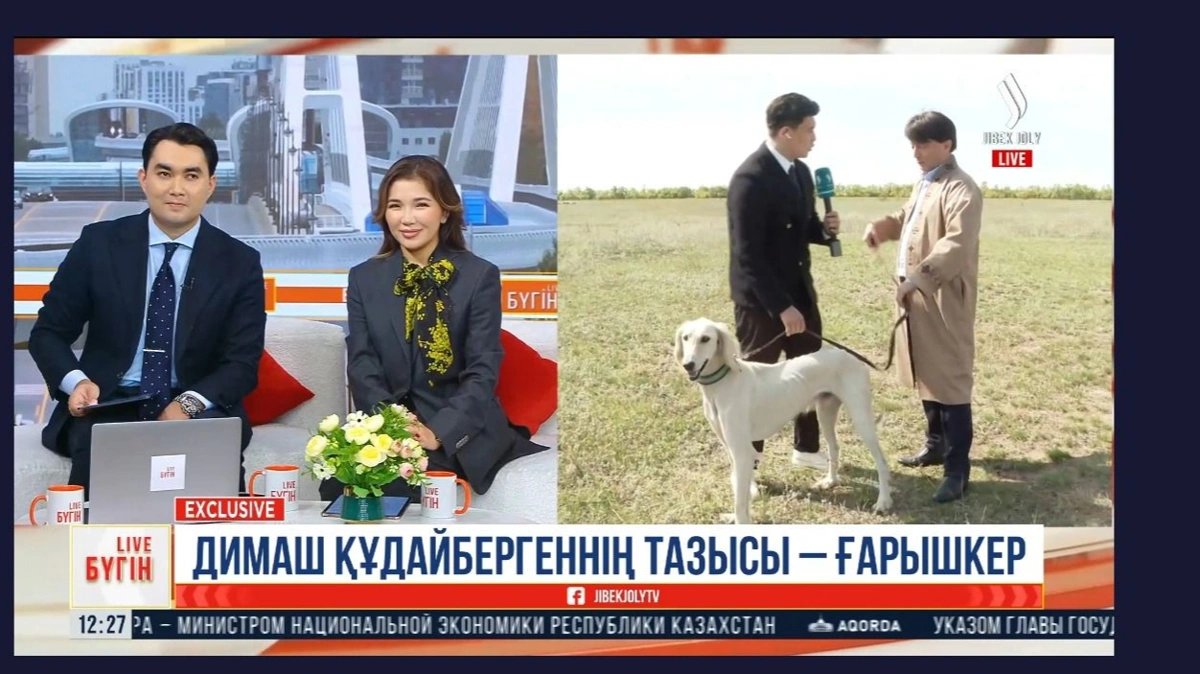 Димаштың тазысы Ғарышкер: әнші оған бұл атты неге қойған 