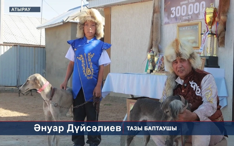Семья из Атырау почти 100 лет разводит казахского тазы