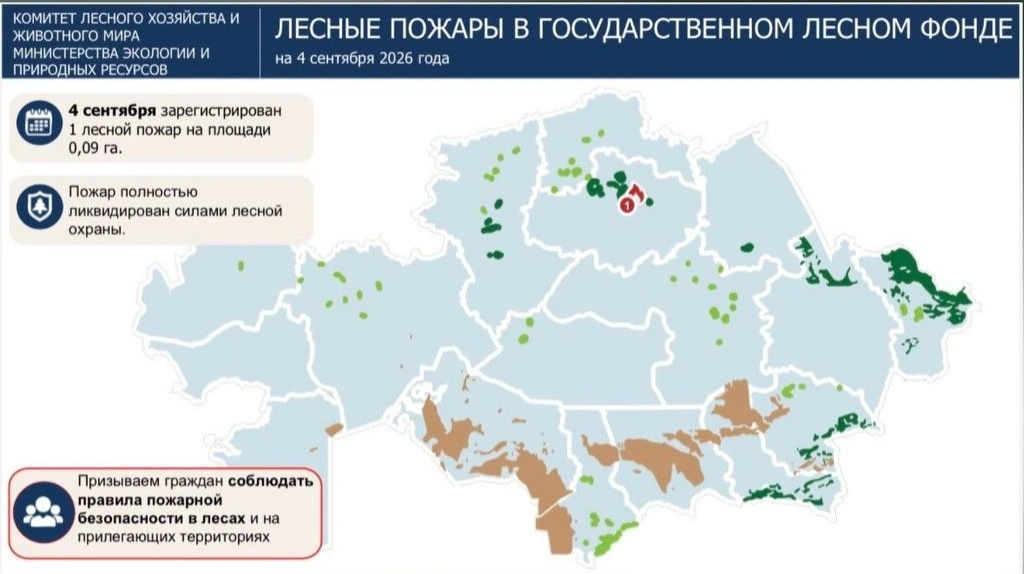 Лесной пожар вспыхнул в Акмолинской области