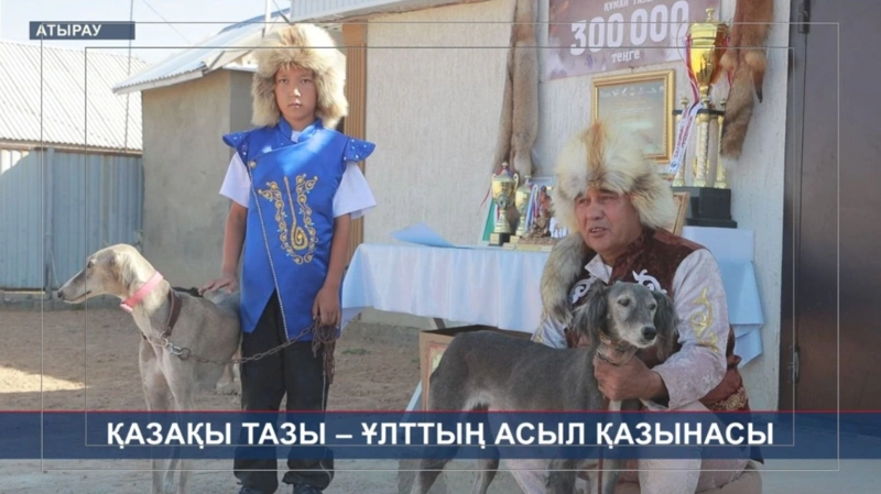 Атырауда Дүйсәлиевтер әулеті 100 жылдан бері тазы баптап келеді