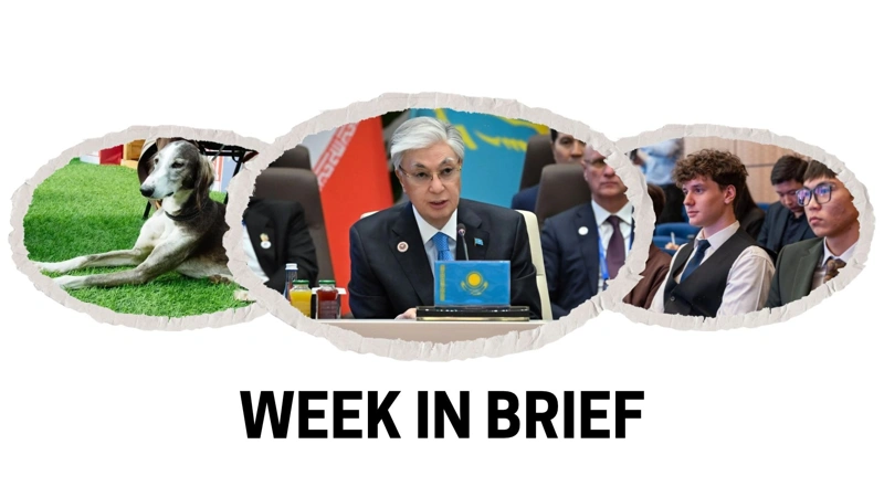 Week in brief