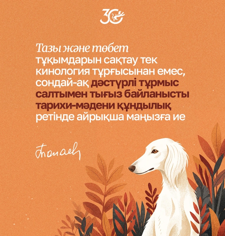 ц