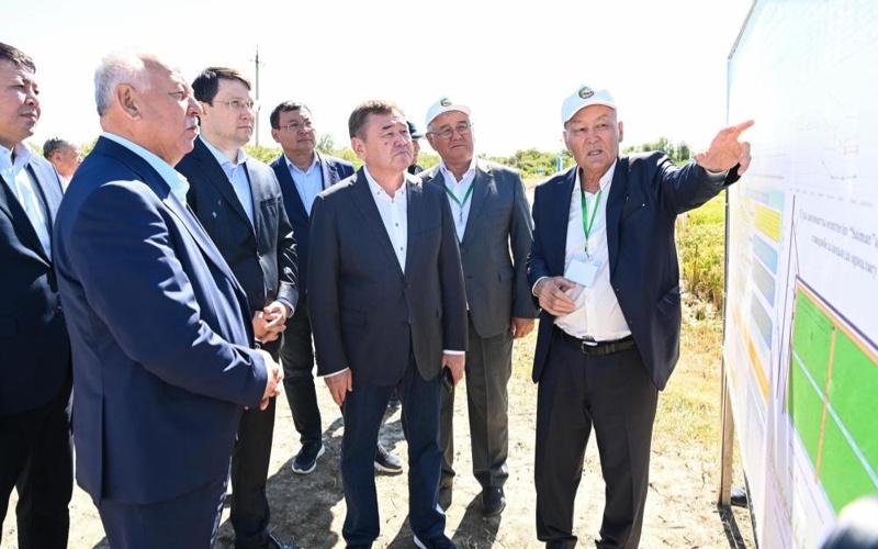Rice harvesting campaign kicks off in Kyzylorda region