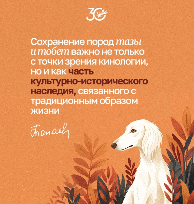 Цитата Президента